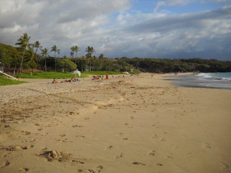 Big Island Hawaii snorkeling