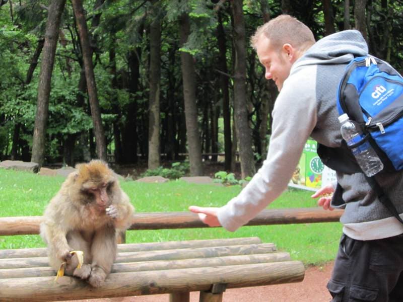 monkey park in Alsace France