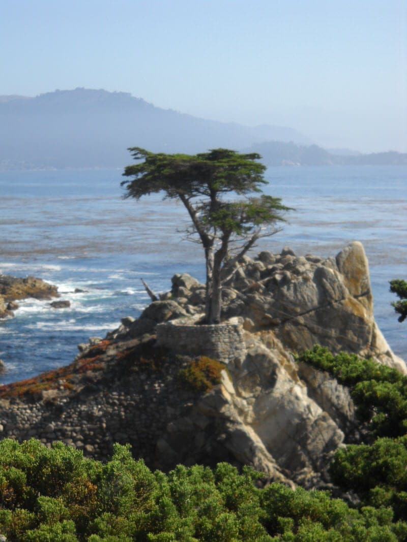 17 mile drive tour