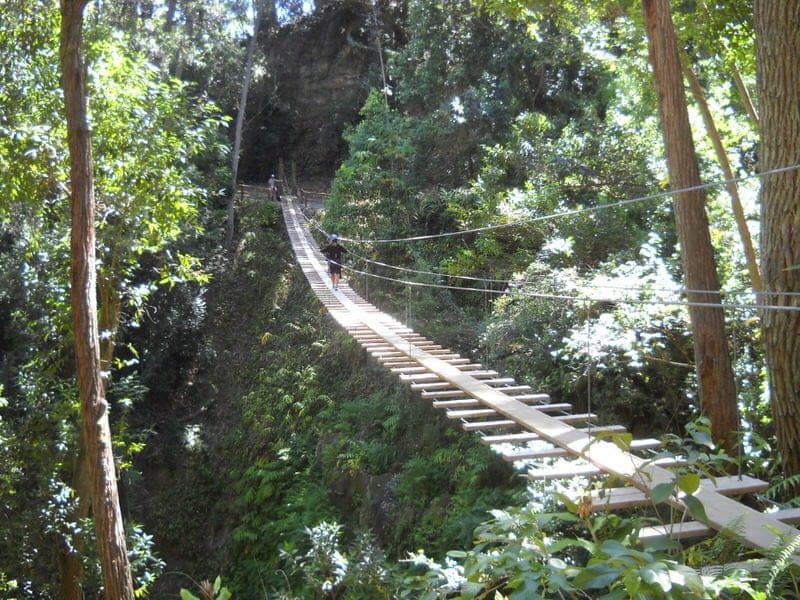 ziplining on the Big Island of Hawaii best zip line big island 