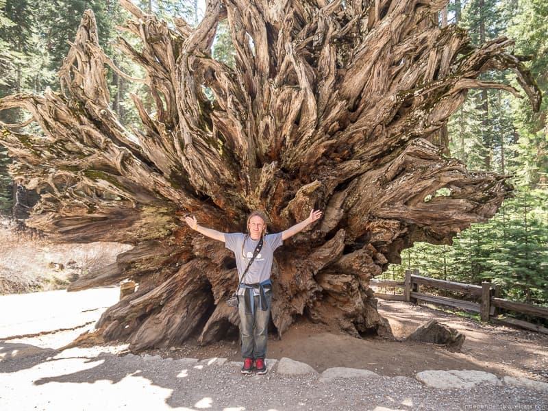 Top Five Things to do in the Southern Part of Yosemite National Park