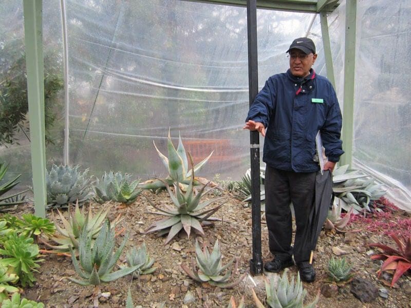 The Ruth Bancroft Garden