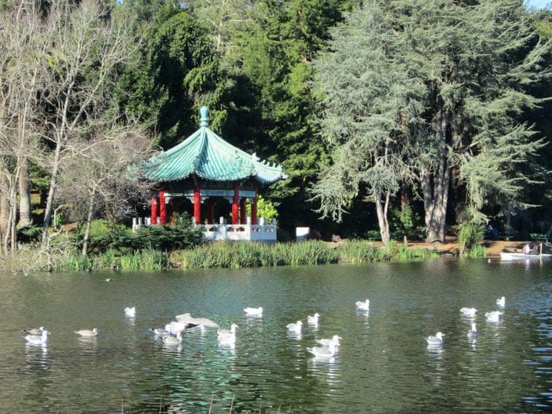 Top 10 Things to Do in Golden Gate Park in San Francisco CA