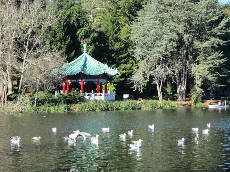 Top 10 Things To Do In Golden Gate Park In San Francisco Ca