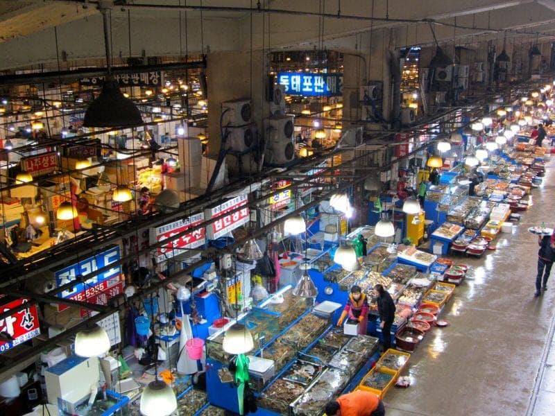 Fresh Fish for Breakfast: Noryangjin Fish Market in Seoul