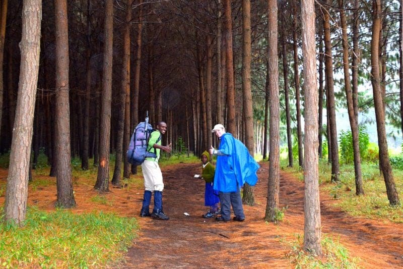 rongai route nalemuru mount kilimanjaro mt kilimanjaro detailed report amani afrika