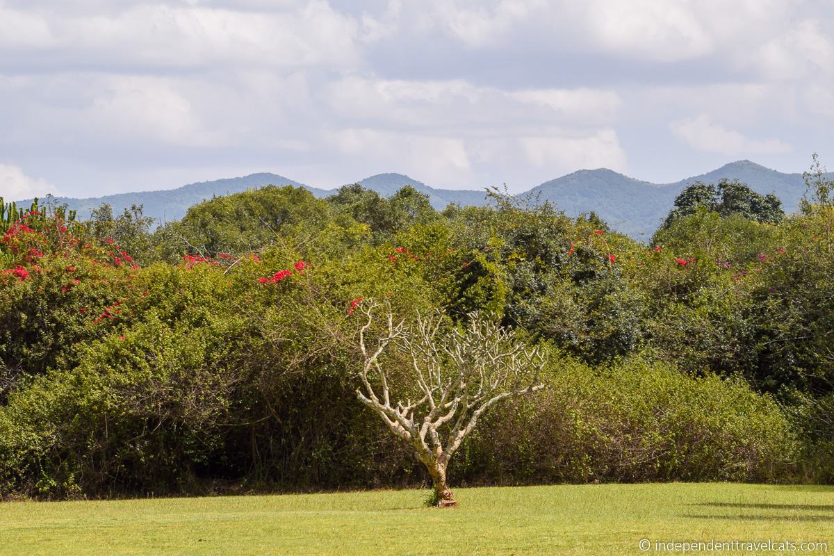 Ngong Hills Karen Blixen house museum 1 day in Nairobi itinerary Kenya