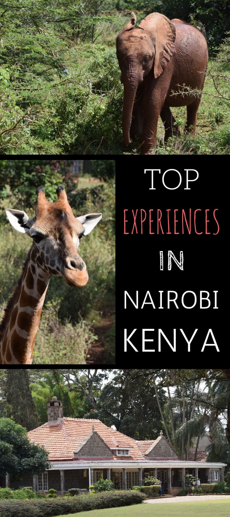 A guide to the top experiences in Nairobi Kenya. This post details all the main attractions and also provides a full 1 day itinerary from our trip to Nairobi.