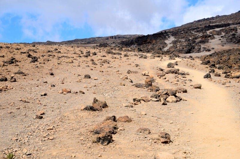 rongai route nalemuru mount kilimanjaro mt kilimanjaro detailed report amani afrika