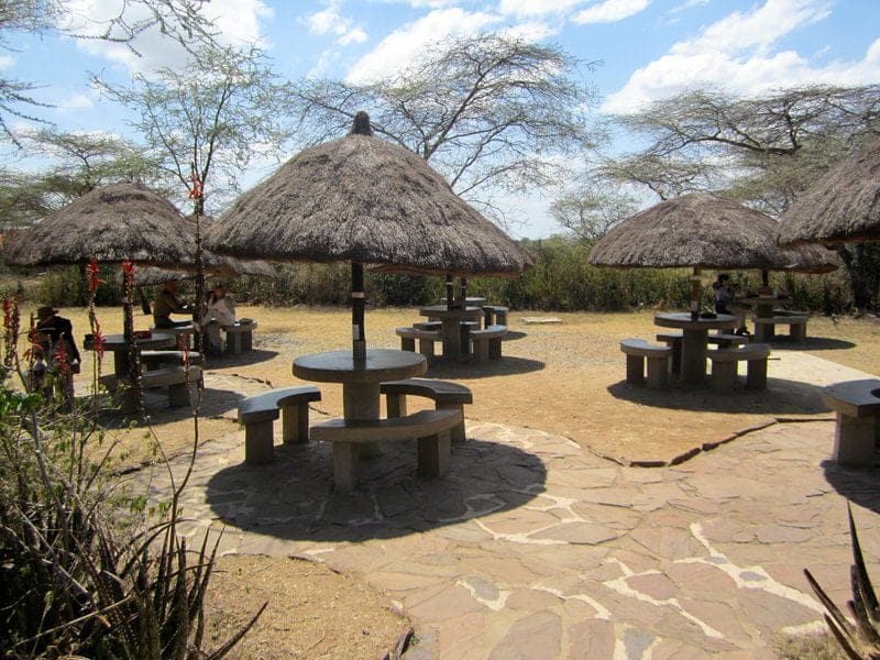 top things to do in Serengeti Tanzania best guide to Serengeti National Park