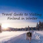 husky dog sledding in Finland during winter traveling
