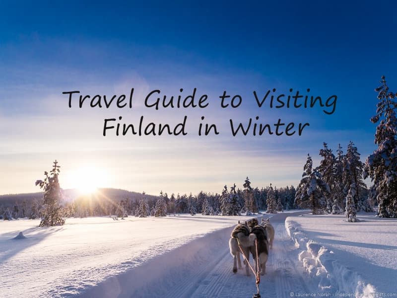 husky dog sledding in Finland during winter traveling