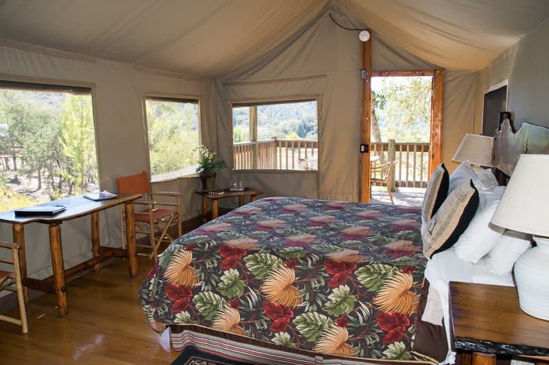 tents at safari west