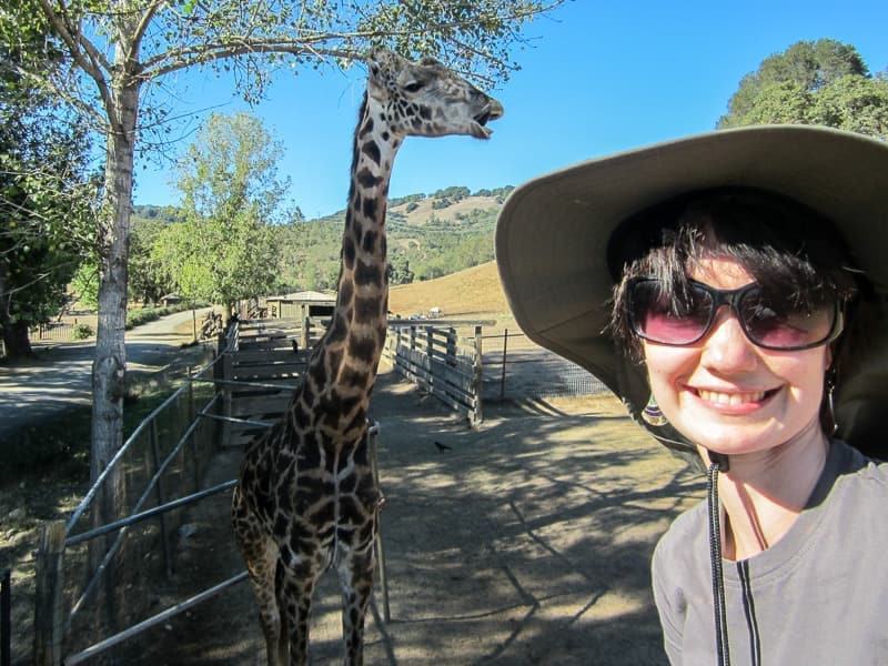 Safari West safari wildlife tours Sonoma