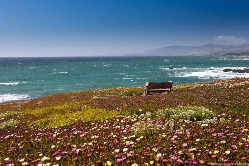 Cambria California: Planning A Visit to This Central Coast Gem 