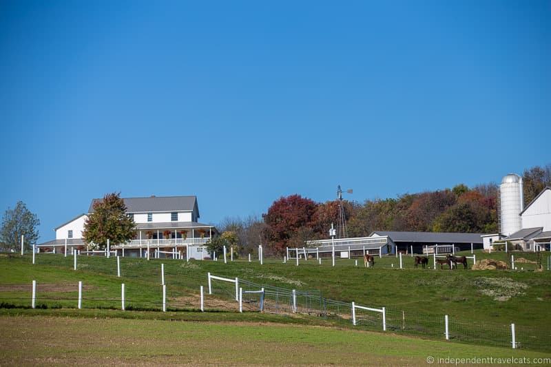 farm things to do in Amish Country Ohio visiting Holmes County Ohio