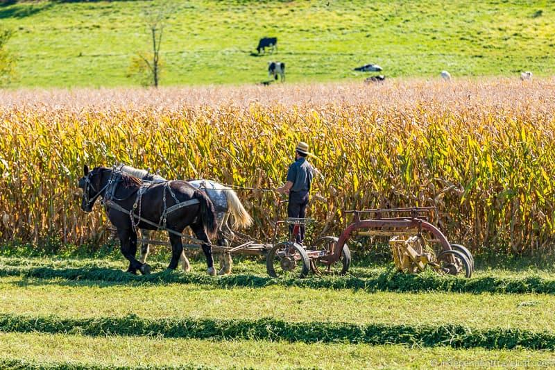 things to do in Amish Country Ohio visiting Holmes County Ohio