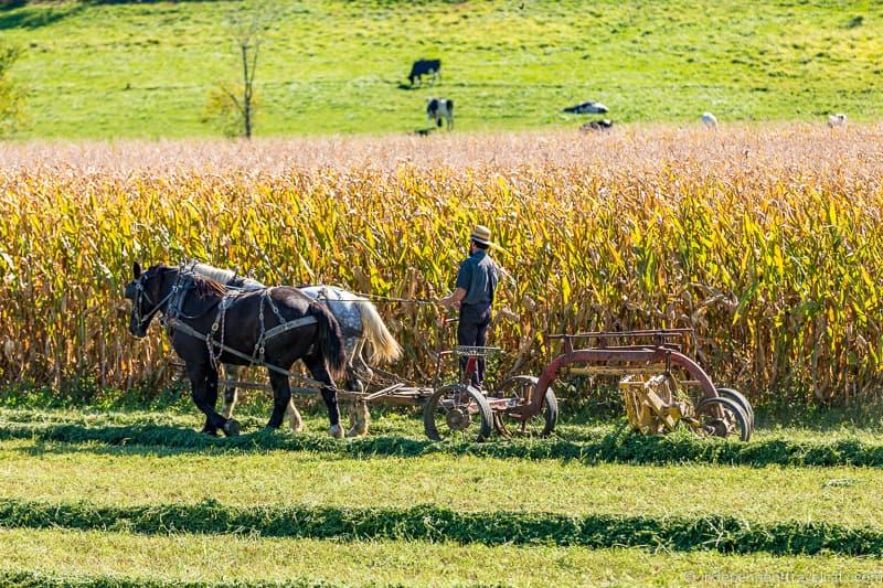 Top Things to do in Amish Country Ohio: A Great Family Destination