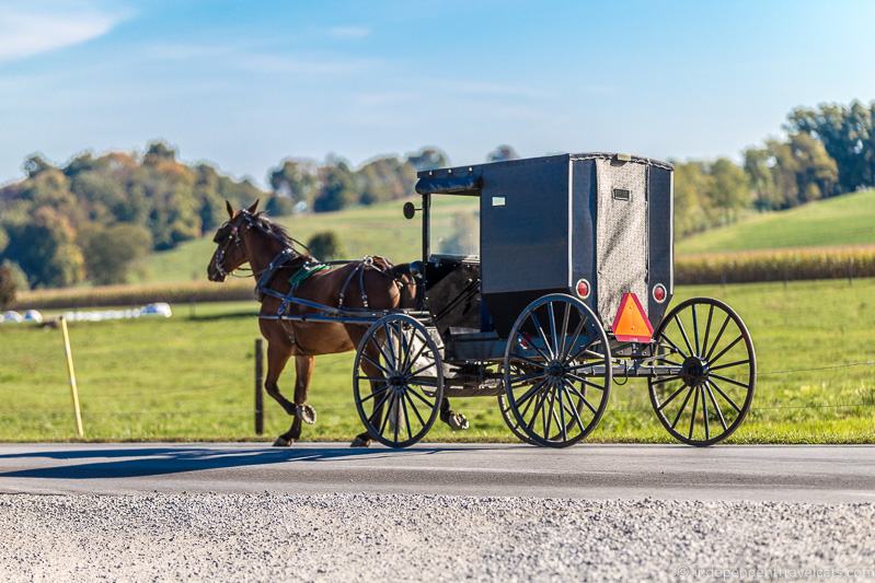 amish village buggy rides