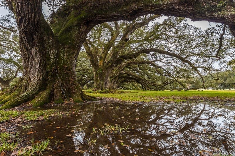 Oak Alley Plantation tour overnight New Orleans Louisiana