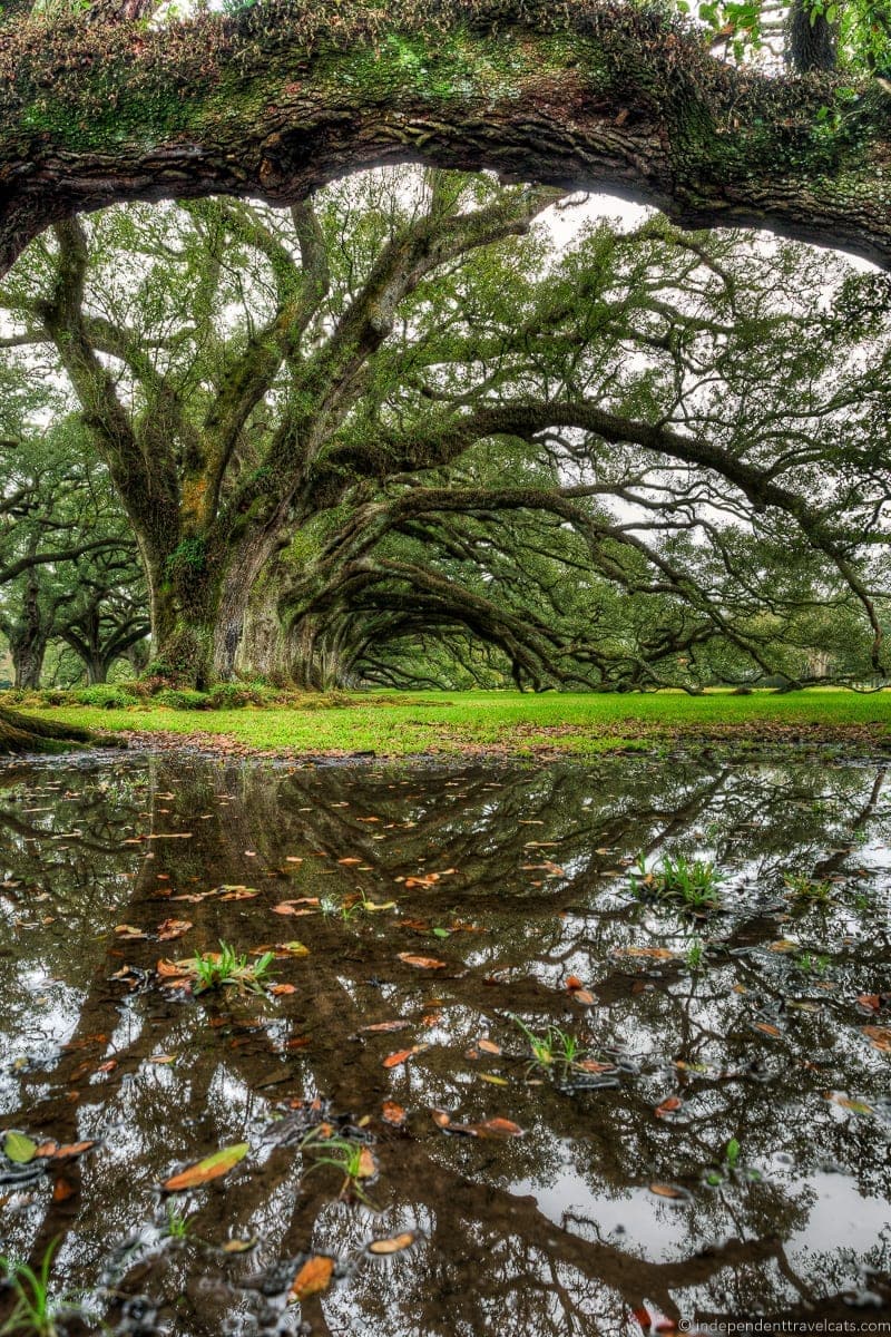 Oak Alley Plantation tour overnight New Orleans Louisiana