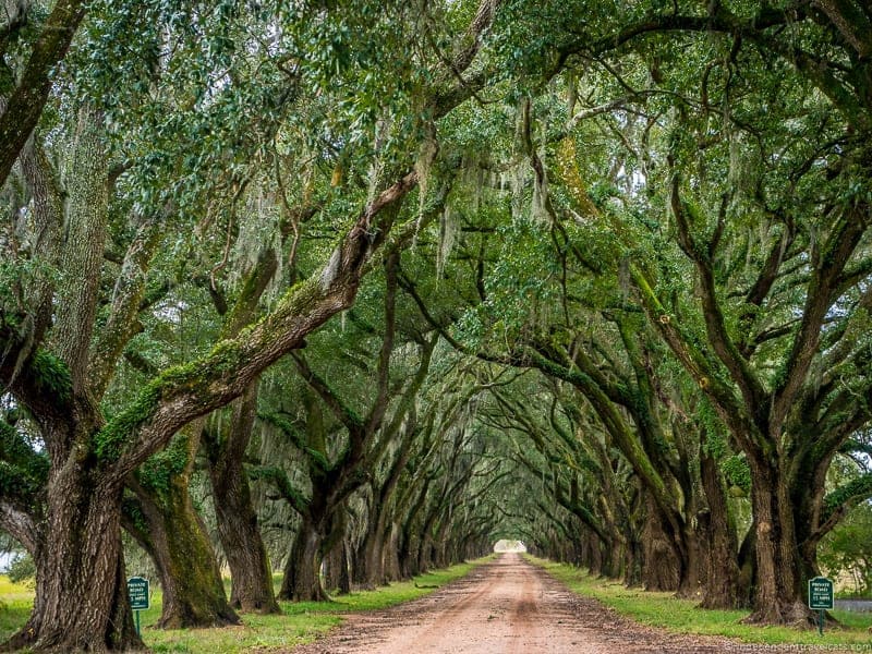 Evergreen Plantation Louisiana Plantations River Road New Orleans Baton Rouge