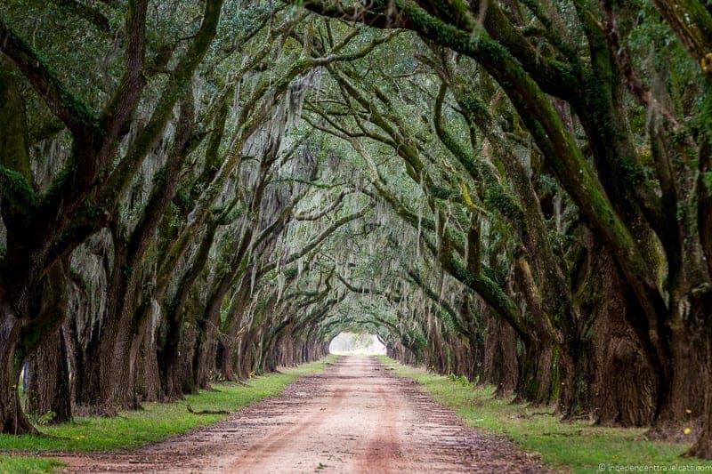 Louisiana Highlights on the Great River Road