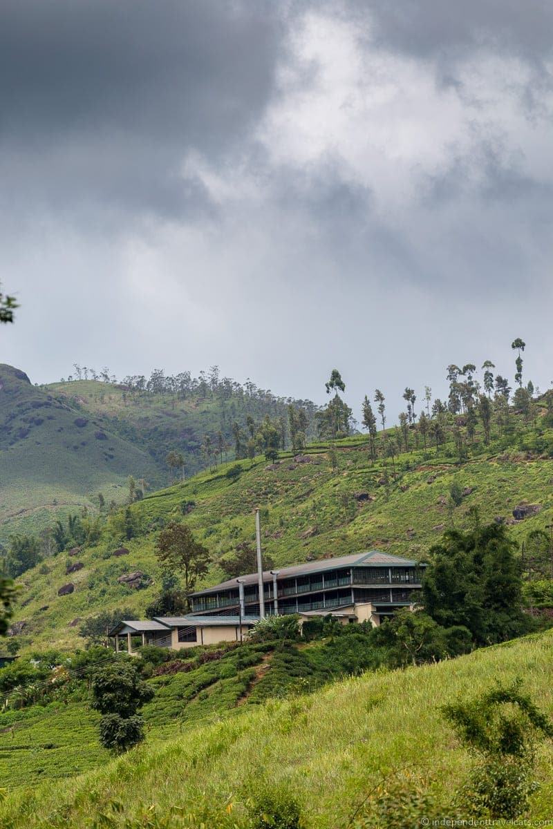 Ceylon Tea Trails Sri Lanka hotel resort Tea Country