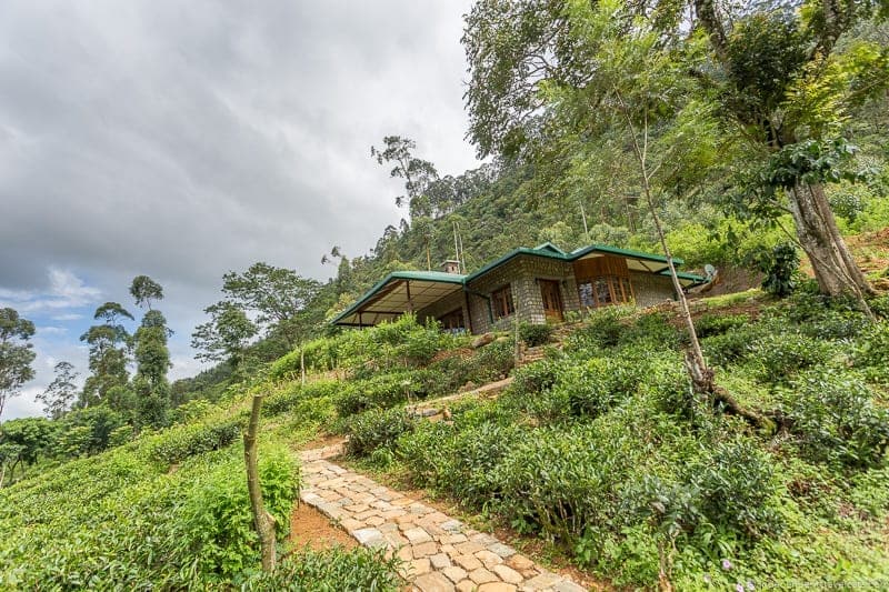 Ceylon Tea Trails Sri Lanka hotel resort Tea Country