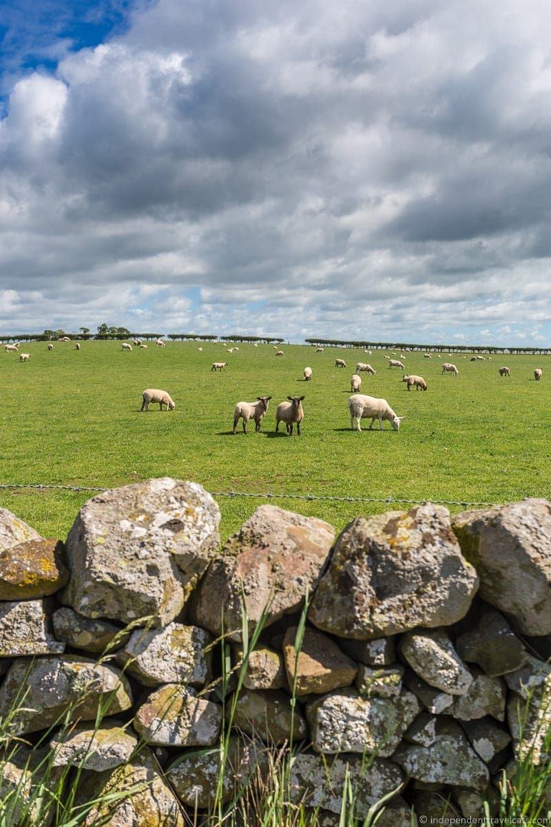 Scottish Borders highlights travel Rabbies