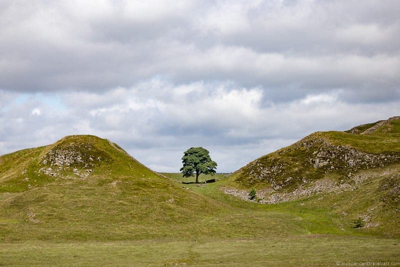 Sycamore Gap Scottish Borders highlights travel Rabbies