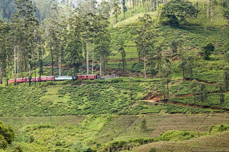 Ceylon Tea Trails Sri Lanka hotel resort Tea Country