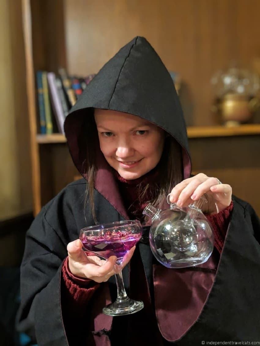 Department of Magic Edinburgh Potions Masterclass cocktails Harry Potter themed things in Edinburgh Scotland