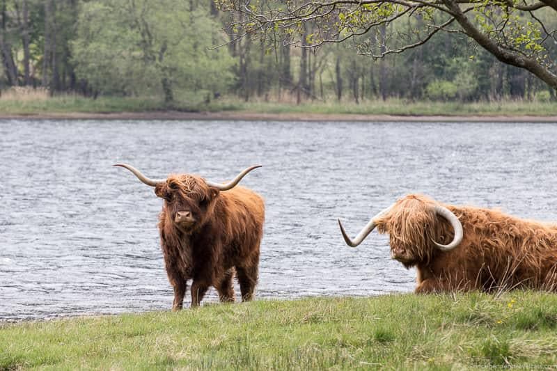 things to do in Loch Lomond & the Trossachs National Park