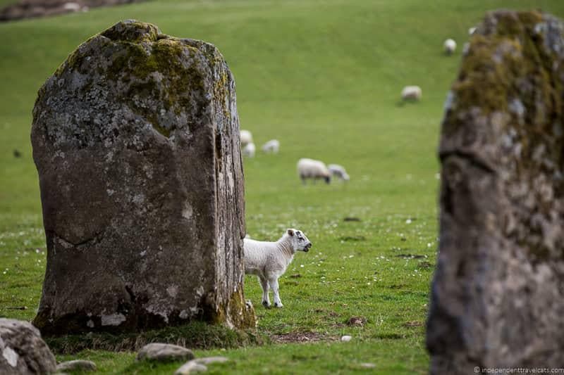 Kinnell stone circle Killin things to do in Loch Lomond & the Trossachs National Park