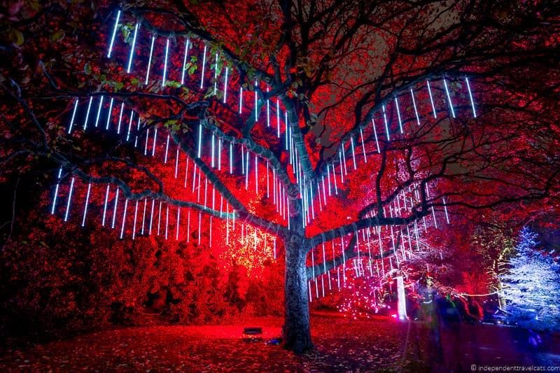 Royal Botanic Garden Edinburgh Christmas in Edinburgh Scotland December