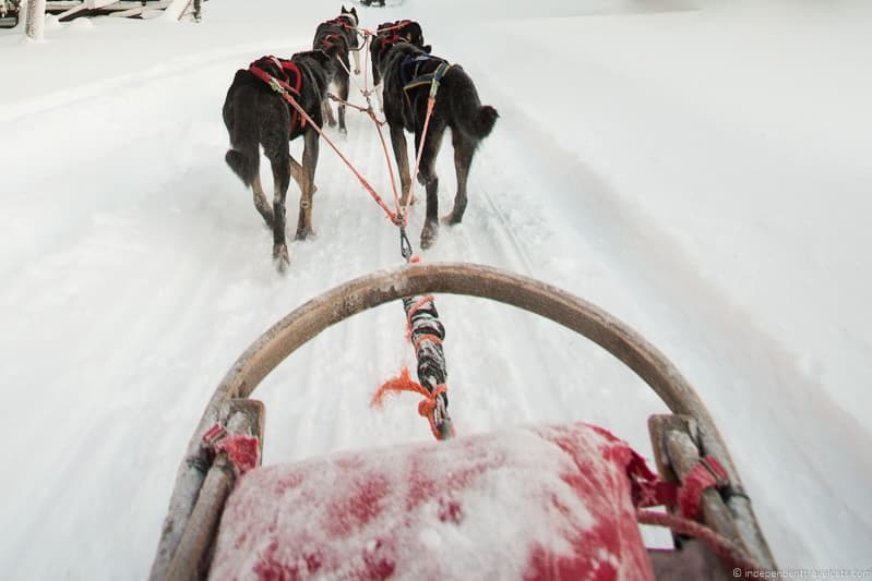 dogsledding Iceland in winter activities day trips tours