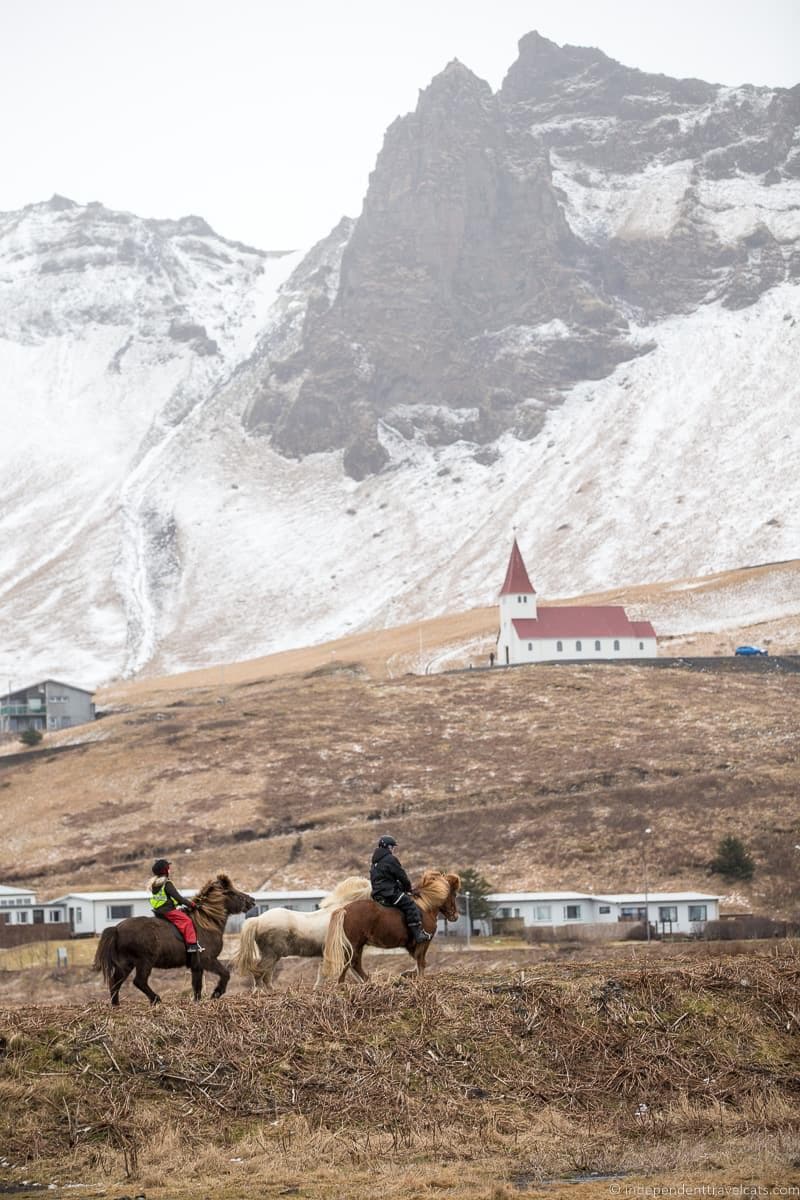 horseback riding Iceland in winter activities day trips tours