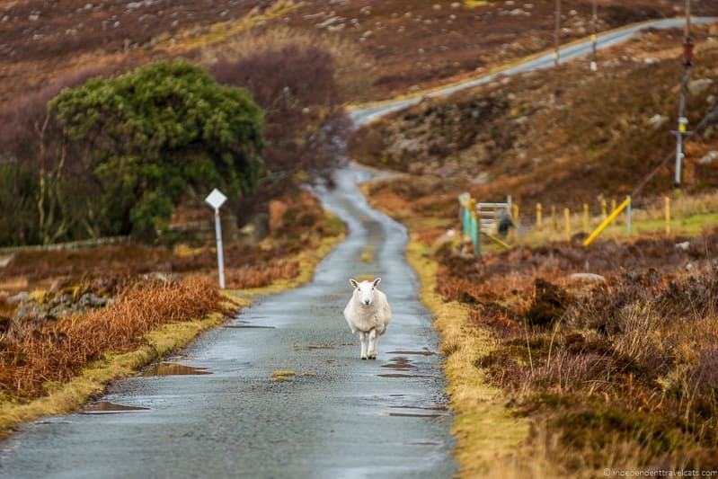 how to avoid the crowds on the Isle of Skye