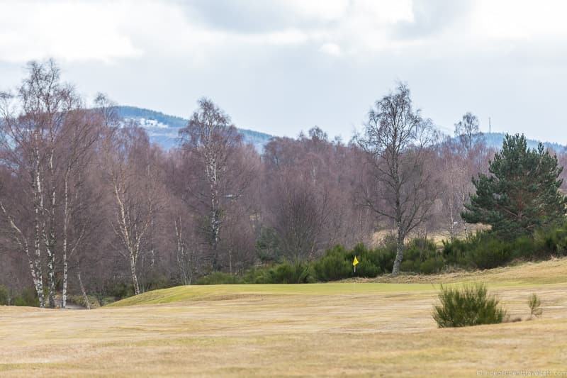 things to do in the Cairngorms National Park in winter