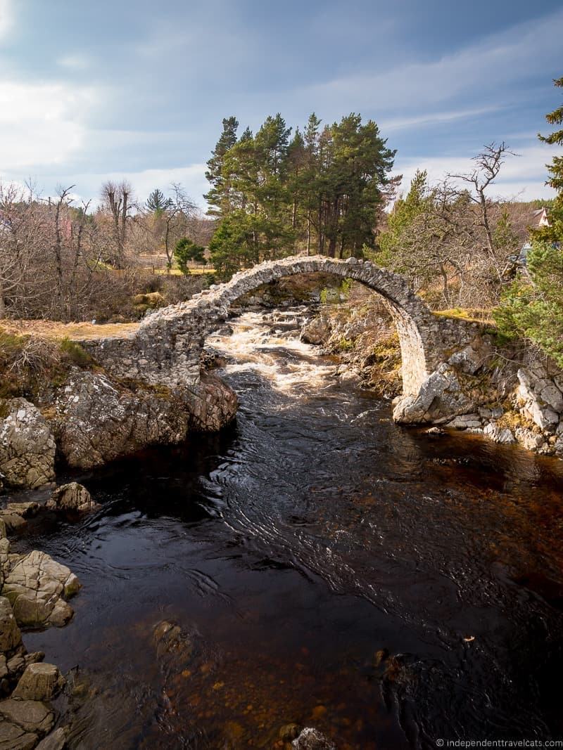 Carrbridge things to do in the Cairngorms National Park in winter