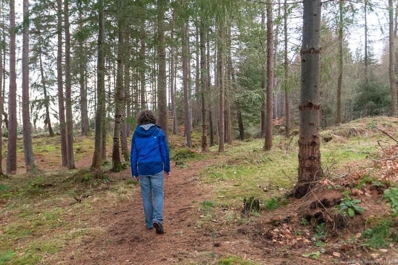 forest in Scotland