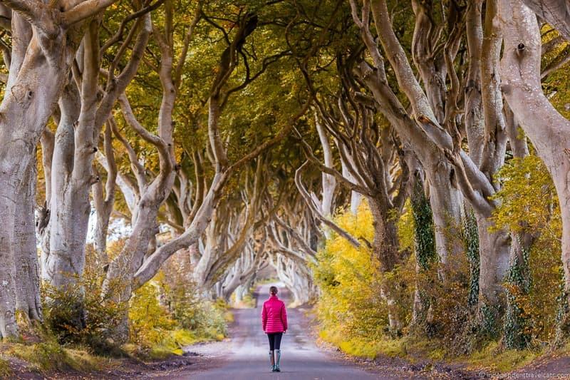 Visiting The Dark Hedges in Northern Ireland