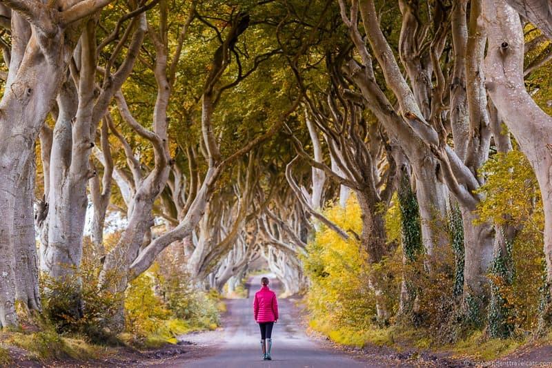 The Dark Hedges in Northern Ireland