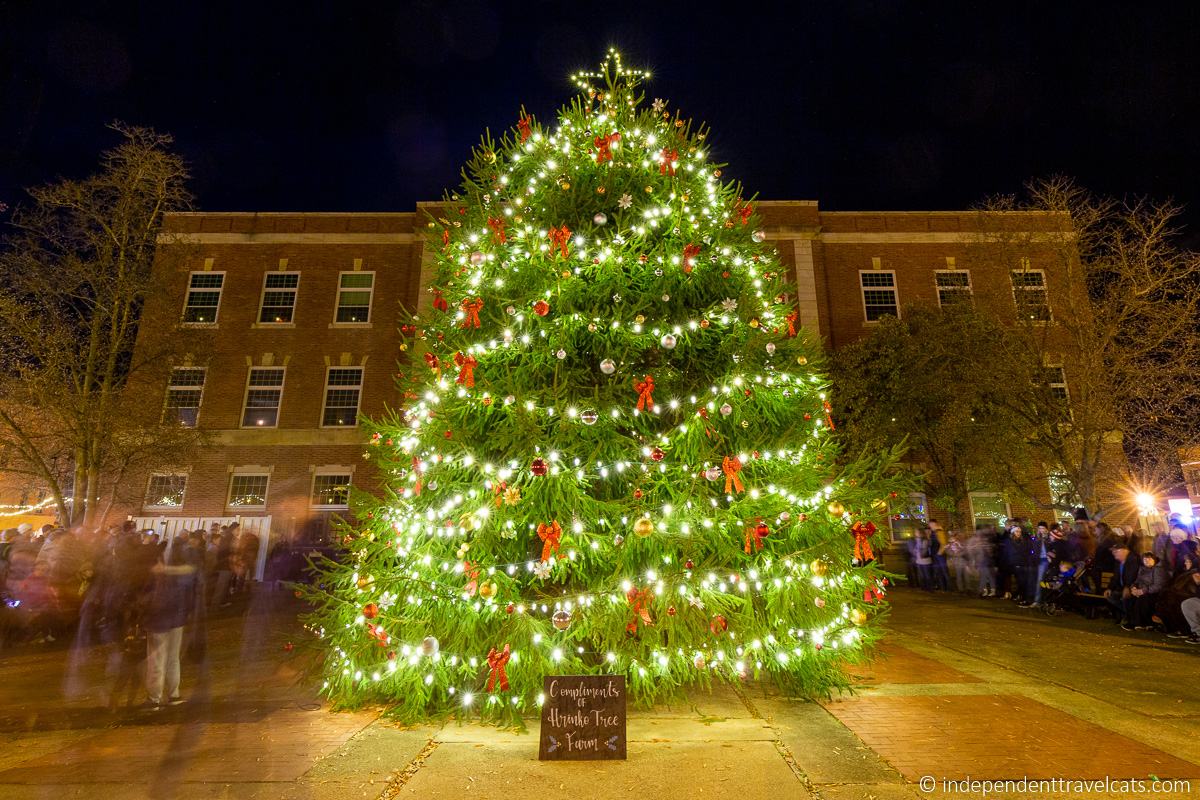 Christmas tree lighting on Square Caldwell Ohio