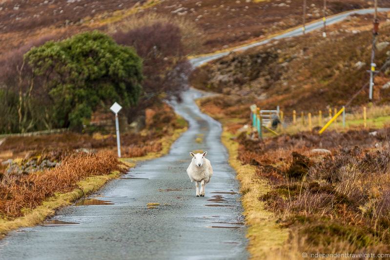 Isle of Raasay travel guide things to do on the Isle of Raasay