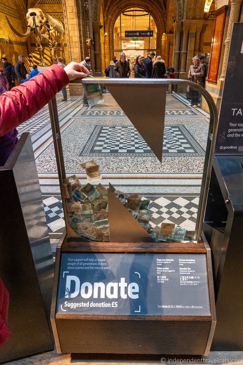 museum donation box museum funding museum costs museum donations from visitors free museums