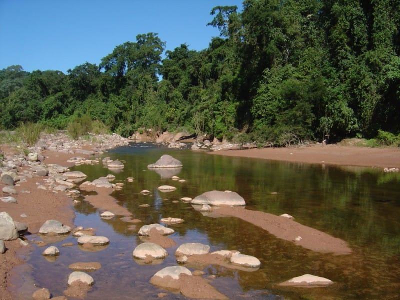 El Pantanoso Reserve Argentina Yungas Forest World Land Trust Fundación Biodiversidad-Argentina