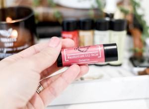 travel inspired lip balms gifts for travelers