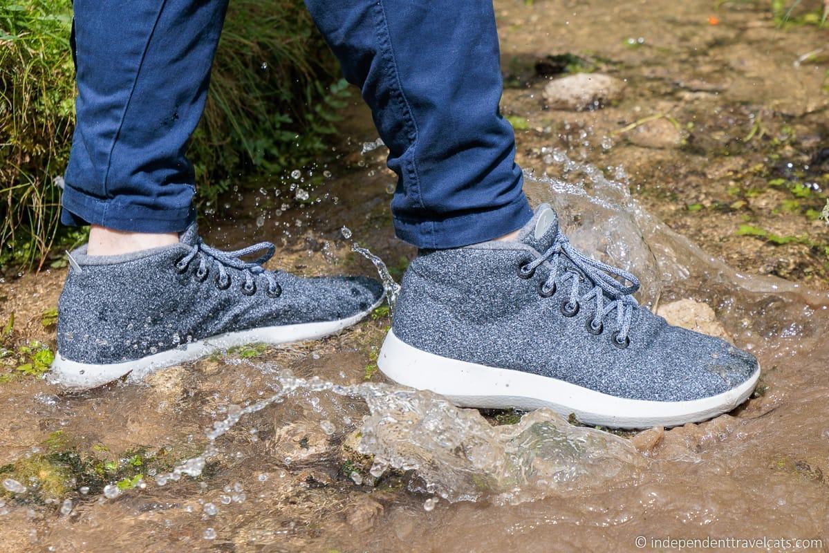 Allbirds Review The Best Shoes for Travel Independent Travel Cats